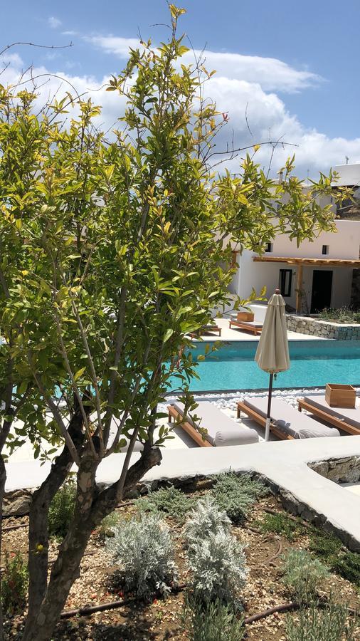 Hotel Mykonos Drops Platys Gialos  Exteriér fotografie